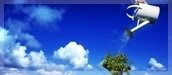 Sustainable Development